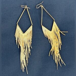 Fringe Drop Earrings